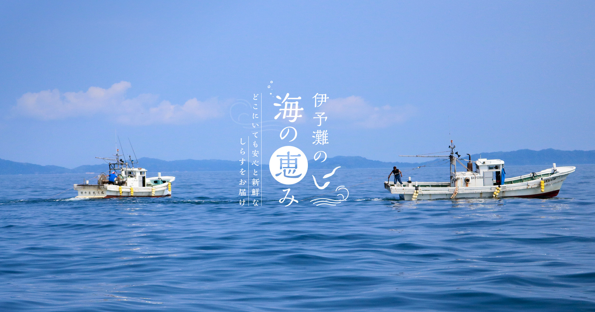 伊予灘の海の恵み どこにいても安心と新鮮なしらすをお届け